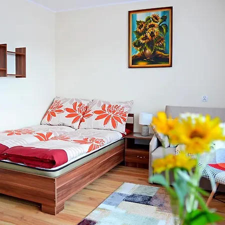 Apartament Karina Tylicz Exterior photo