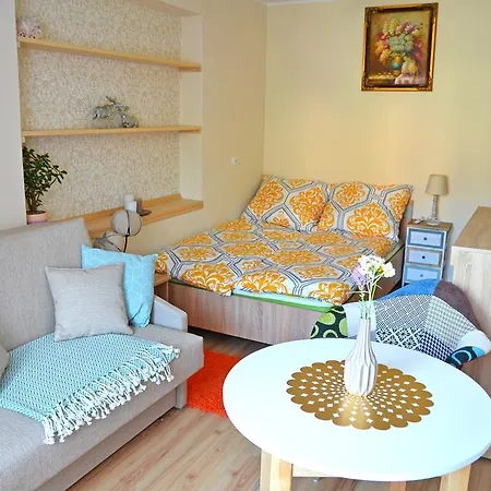 Apartament Karina Tylicz Exterior photo